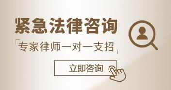 圖析普陀區(qū)長(zhǎng)風(fēng)新村街道公司資產(chǎn)管理 為何需要專業(yè)律師咨詢與上海法律支持